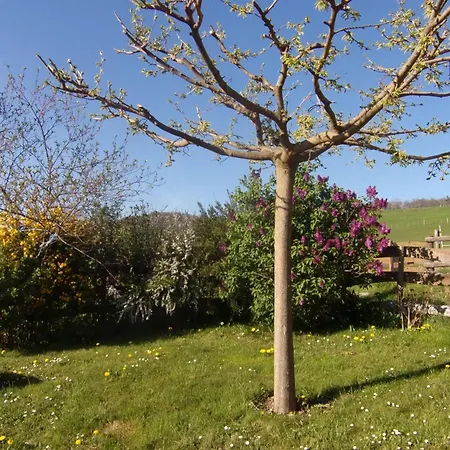 Rustique 2 Ch., Jardin Clos, Animaux Admis - Fr-1-496-376 *